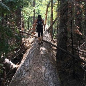 Meet your Posher, Kristine